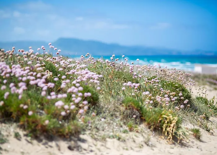 Marina Bay - Апартаменты *