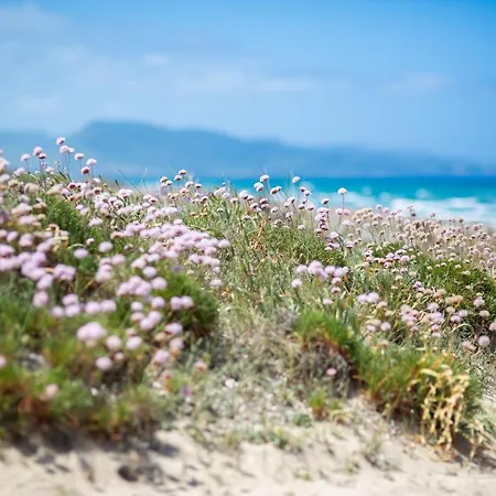 Marina Bay - דירה *